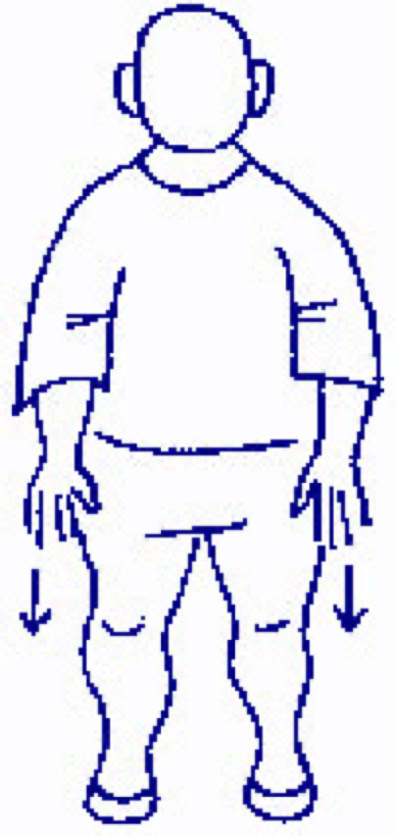 HAKKEI - FA LI   Hakkei - Fa li is a group of exercises that help to develop ability of using force in "explosive" way.