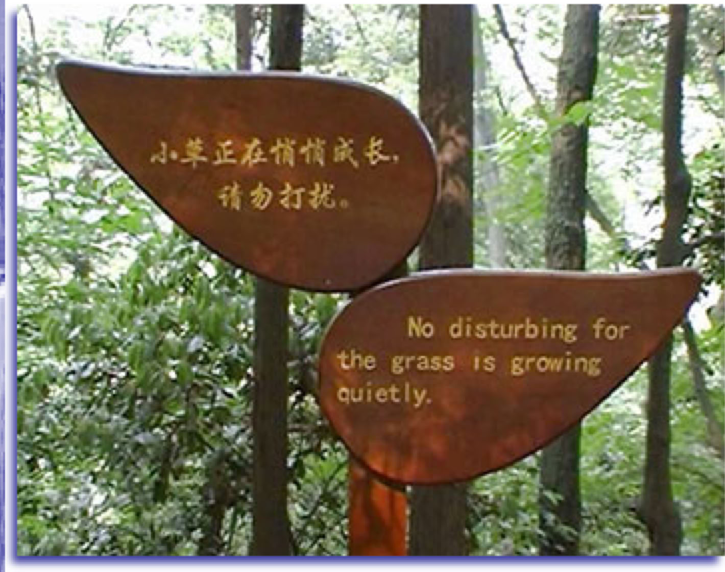 Wooden signboard with taoist text Qingcheng shan