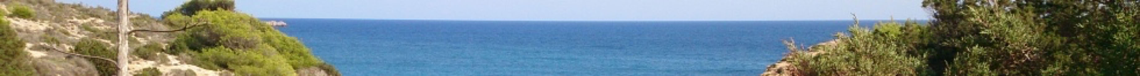 Ritsuzen meditation on characteristic rocks and in dense forests