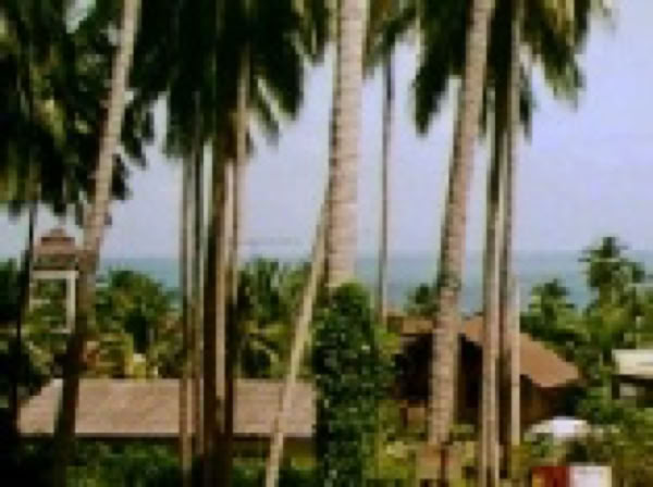 photos sabbaticals Asia 