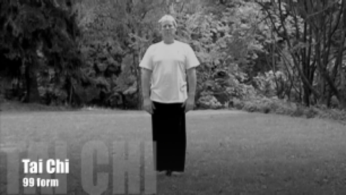 Tai chi chuan 99 form video Ron Nansink