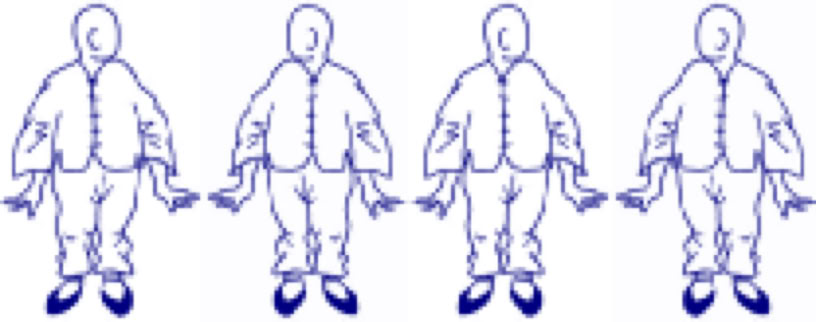 baduanyin the wise owl gazes around